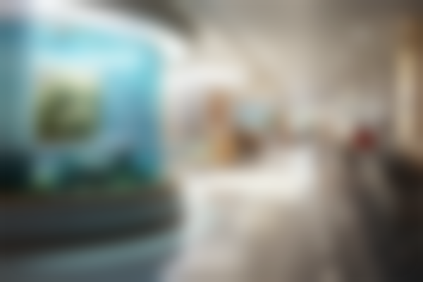 沈阳创美荟医疗美容