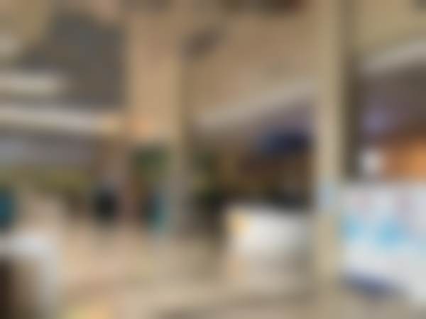 二、主事团队：技术不错的美丽魔法师