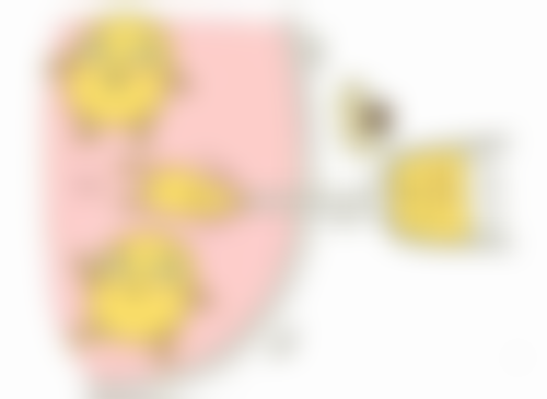 四、子宫切除疤痕修复的注意事项