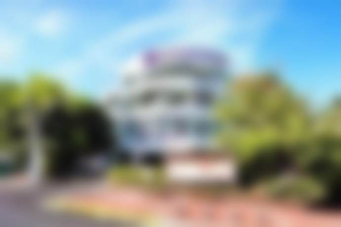 三、袁纯新技术优势