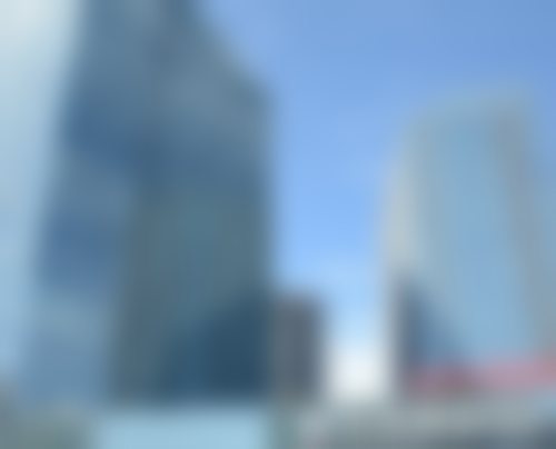 二、刘娟娟擅长项目