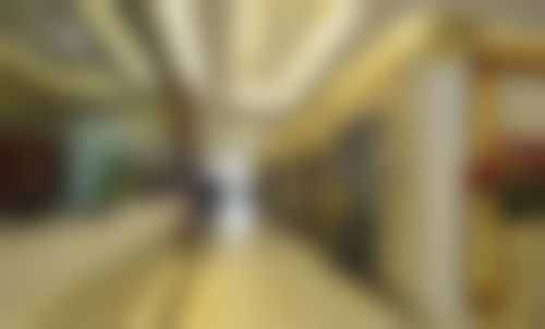 二、金平擅长项目