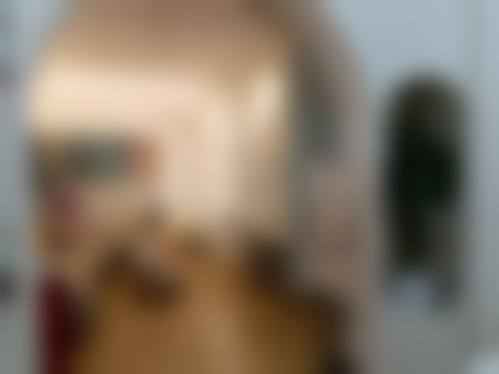 四、骆丹收费价格表