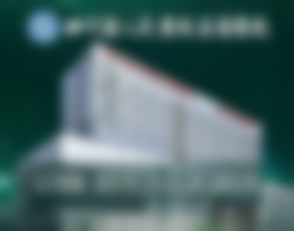 二、洪睿皓擅长项目