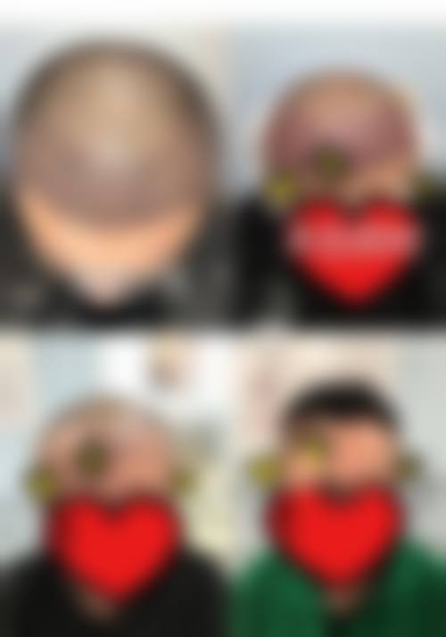 二、杨蔚擅长项目