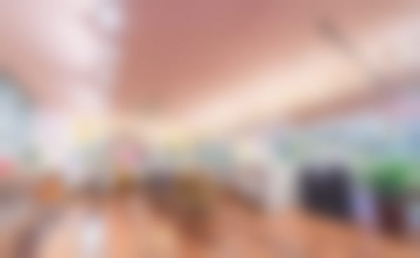 三、路雨医生技术优势分析