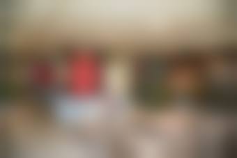 二、李竞擅长项目