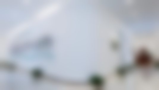 三、北京纯脂医疗冯斌医生在 FQ 单部位后背吸脂瘦背项目上的技术优势