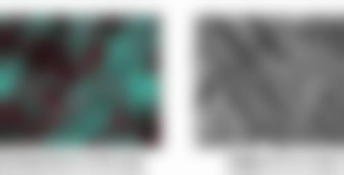 三、张函技术优势