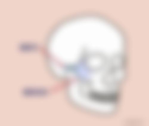 五、无锡东海整形美容门诊部价格表