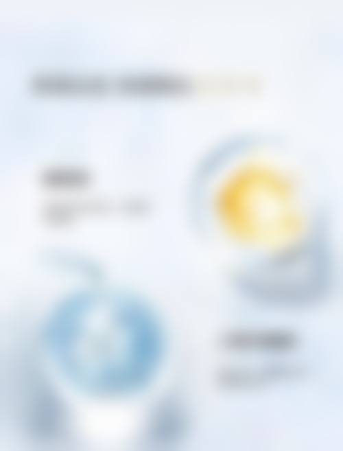 三、刘霖技术优势