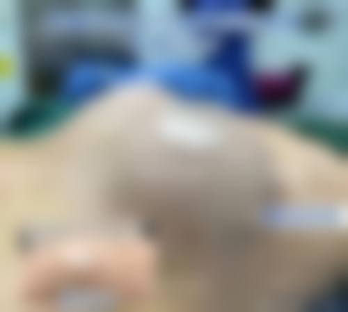 三、王殿栋技术优势