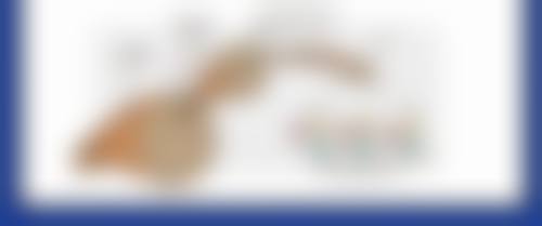 五、双眼皮全切多久可以再次修复