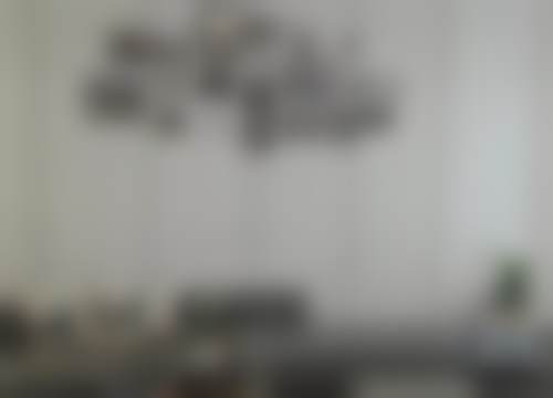 三、周敏茹技术优势