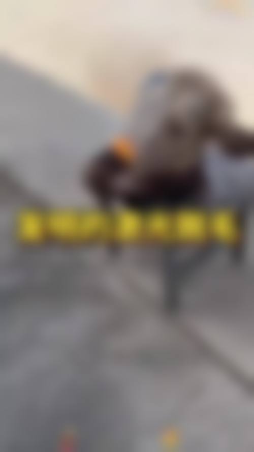 九、温州医 科 大学附属第二医院真实的患者评价