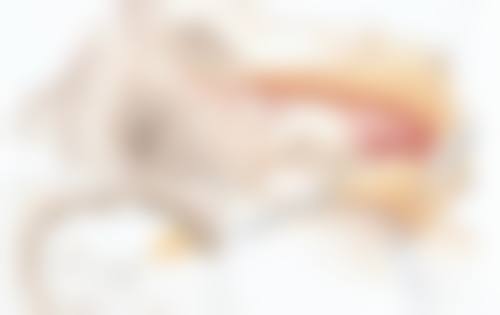 一、割双眼皮后吃芒果的基本情况