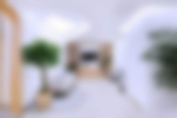 二、颜士钧擅长项目