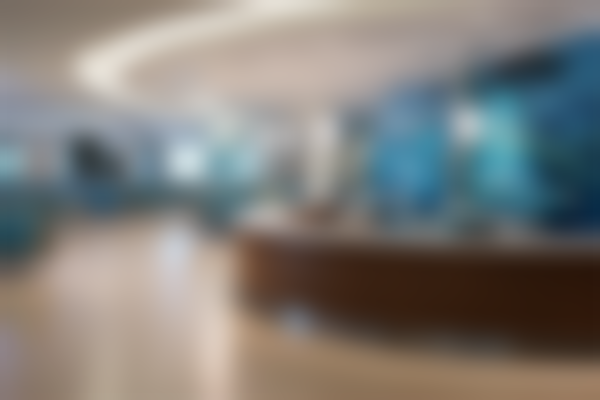 四、襄阳雅美医疗美容中 心特色项目