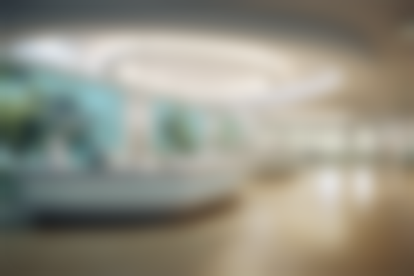 天津艾丽苏蔓医疗美容门诊部