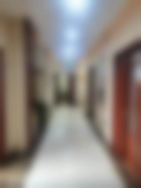 二、杨明峰擅长项目