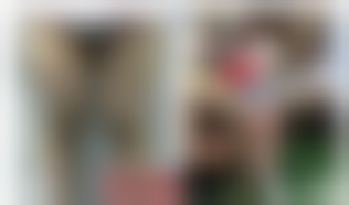 三、潘红伟技术优势