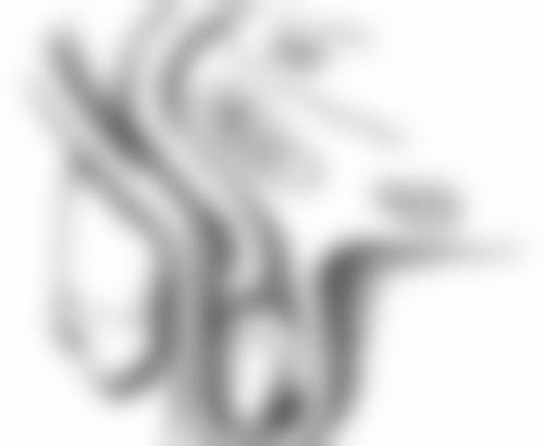 拉双眼皮能保持多久？揭秘不同术式效果时长及影响因素，让美更持久！ 