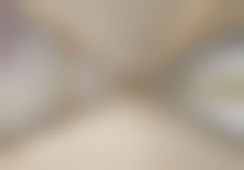 三、骆豫技术优势