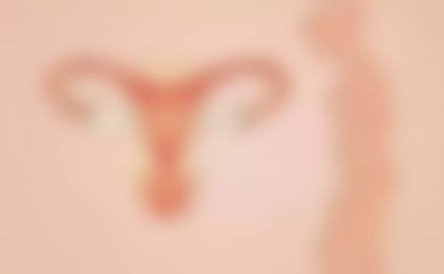 三、李平军技术优势