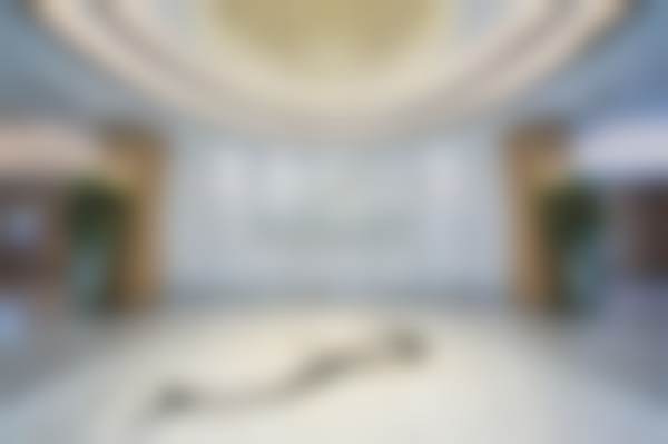 二、徐平医生简介