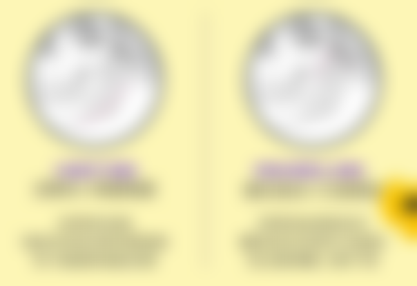 二、李春财擅长项目