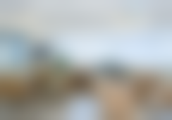 三、朱晓浩技术优势