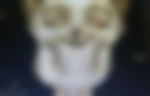 四、日常护理建议