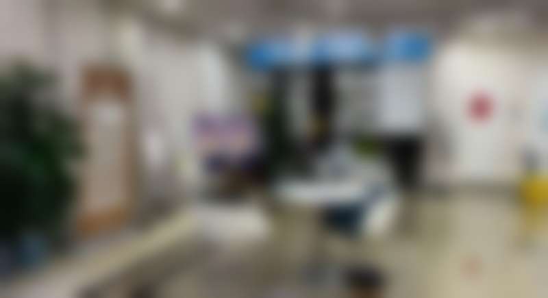 二、郑义刚擅长项目