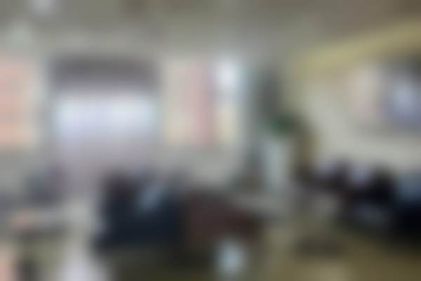 二、黄爱芳擅长项目