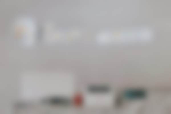 三、魏正莉技术优势