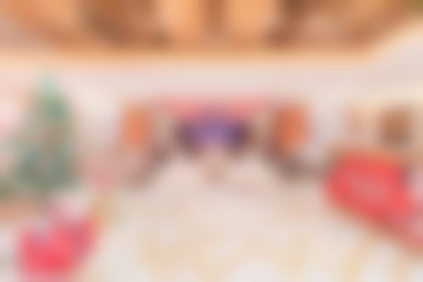 二、裴宰莹擅长项目