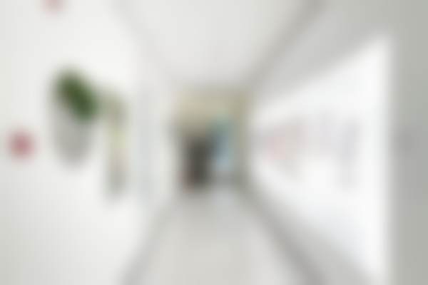 六、北京纯脂医疗美容门诊部张春彦的成功实例