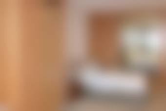 二、向朝擅长项目