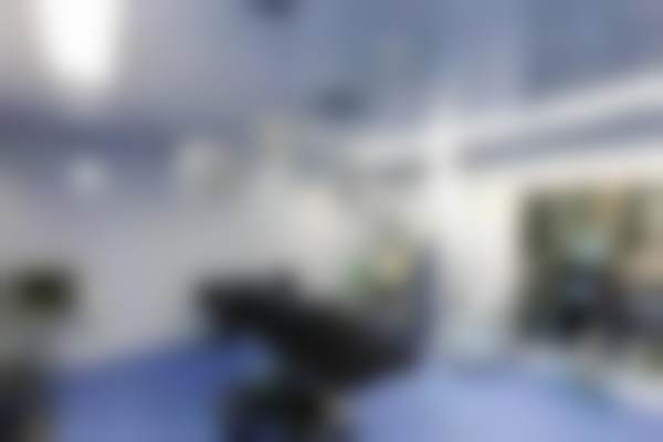 二、刘扬擅长项目