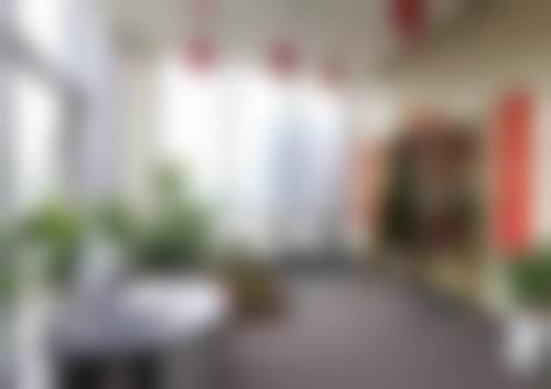 二、洪瑜谦擅长项目