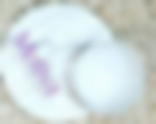 四、医院其他医生及项目