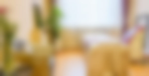 哈尔滨艺星医疗美容门诊部