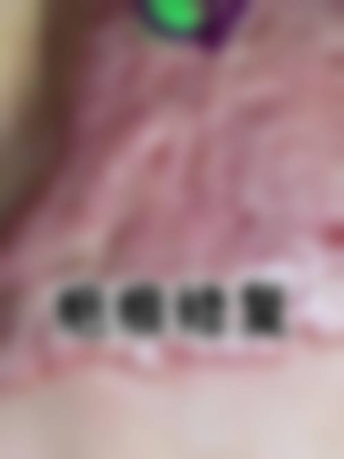 三、邢俊兰技术优势