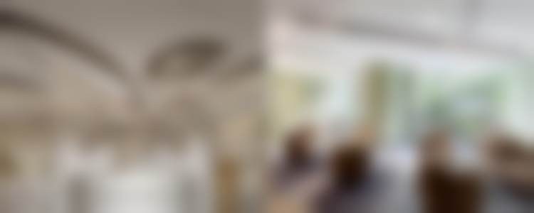 三、林建新技术优势