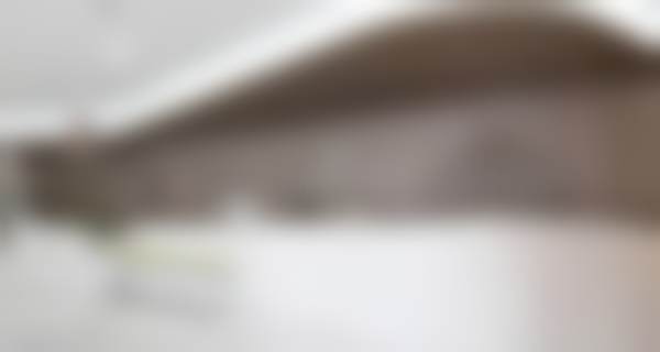 三、尚薇薇技术优势