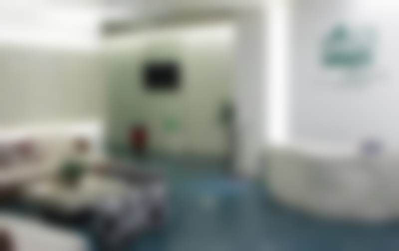 二、程亚男擅长项目