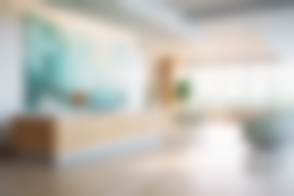 三、林亮技术优势