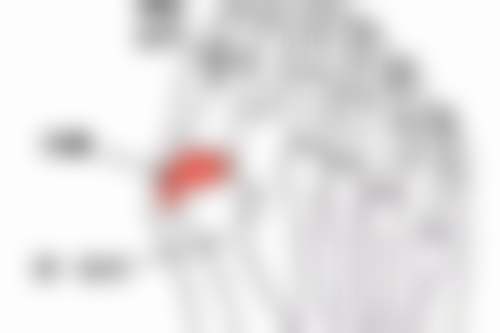 二、上海爱丽资医疗美容医院怎么样？