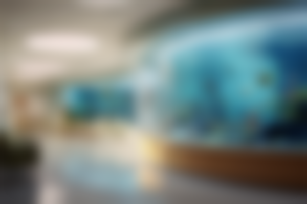 北京市第六医院整形美容外科