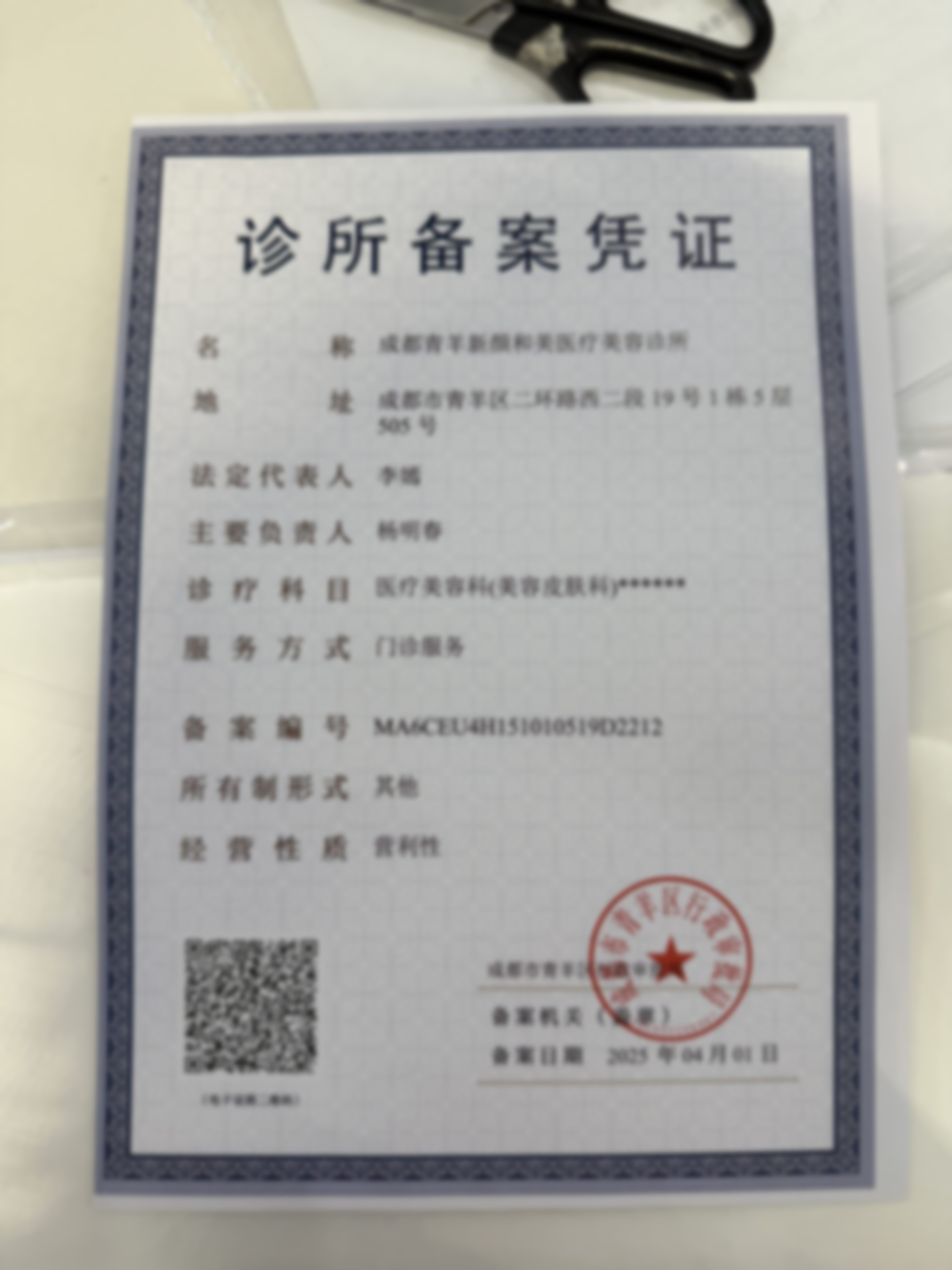 二、李嫣擅长项目
